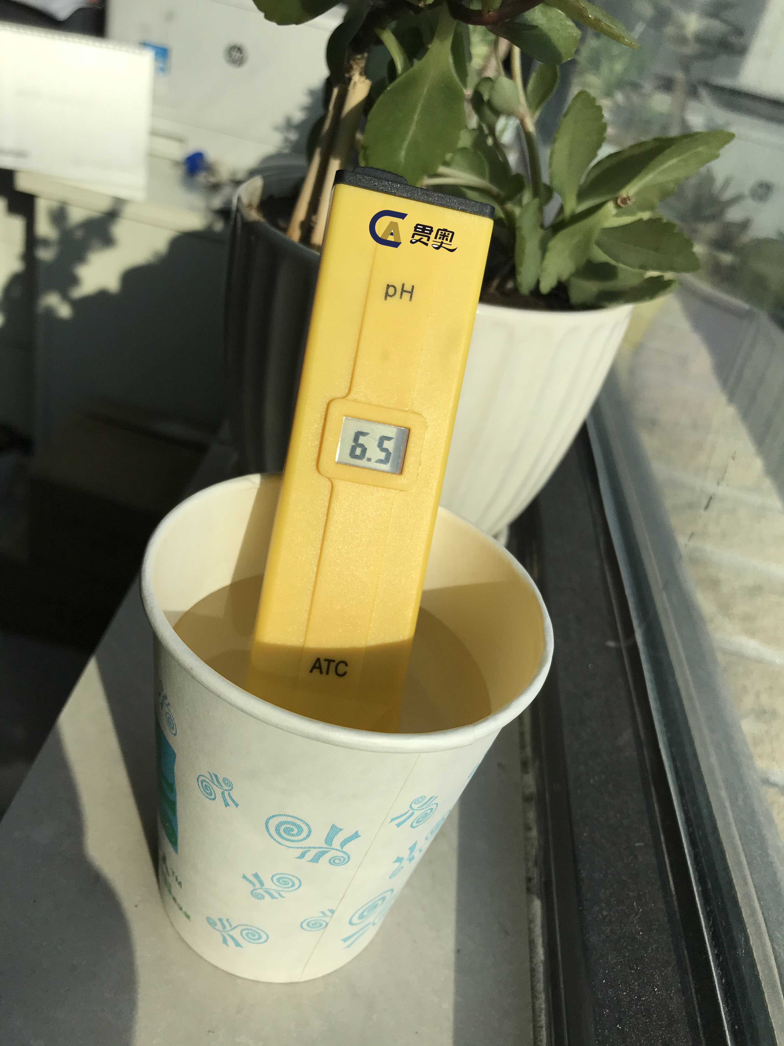 檢測水中pH值 檢測水中pH值